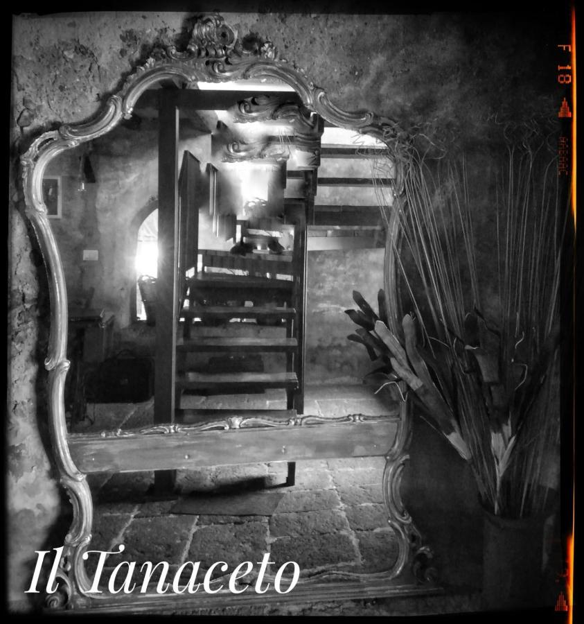 Hotel Il Tanaceto Castiglione De Sicilia Exteriér fotografie